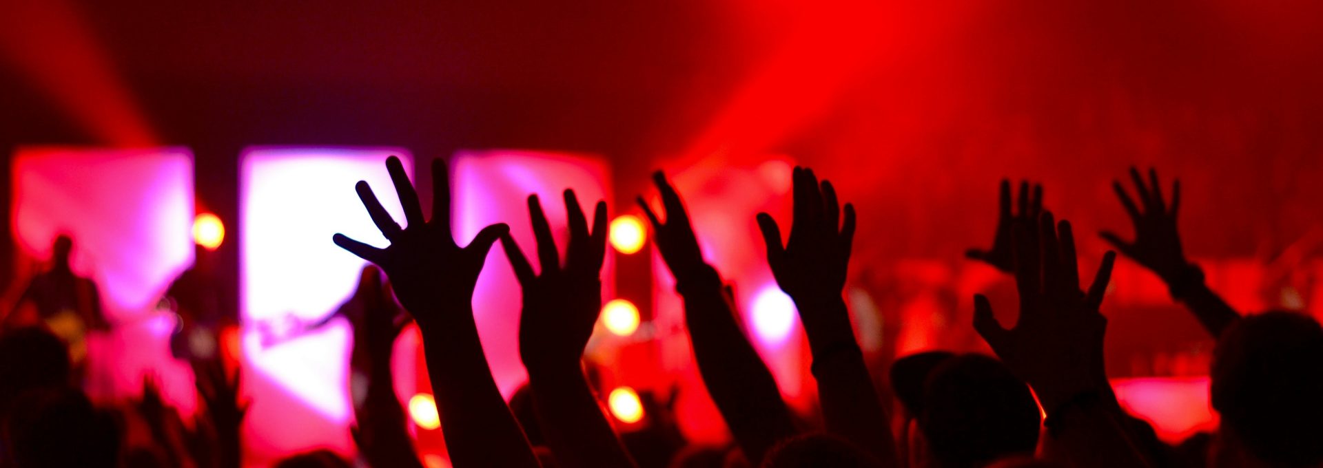 people raises hands
