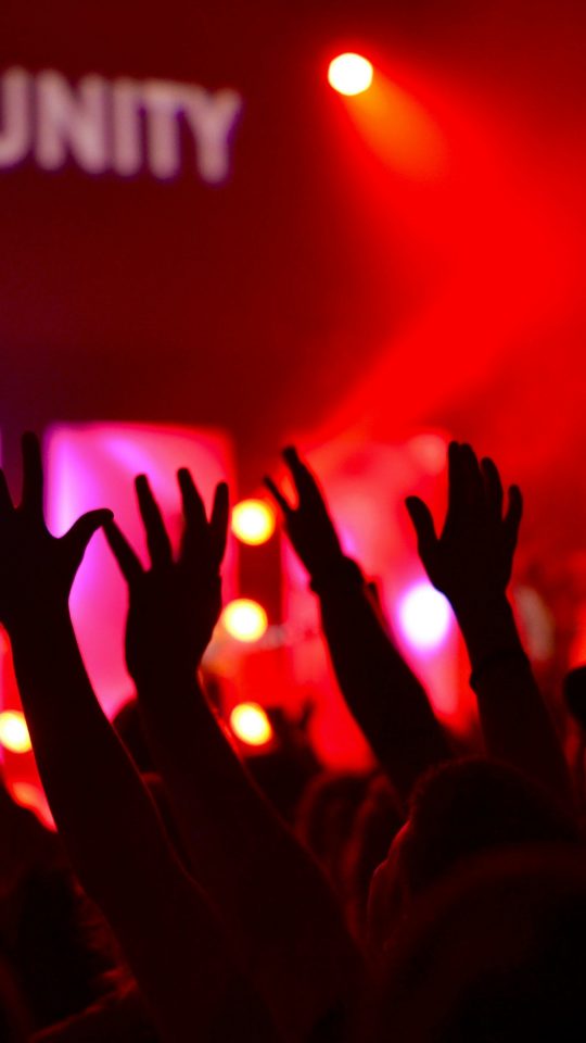 people raises hands